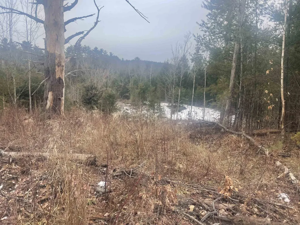 46 #3 Benton Road Haverhill NH 03774