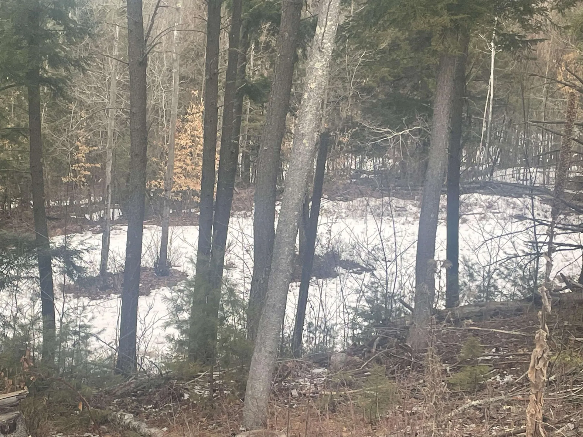 46 #3 Benton Road Haverhill NH 03774