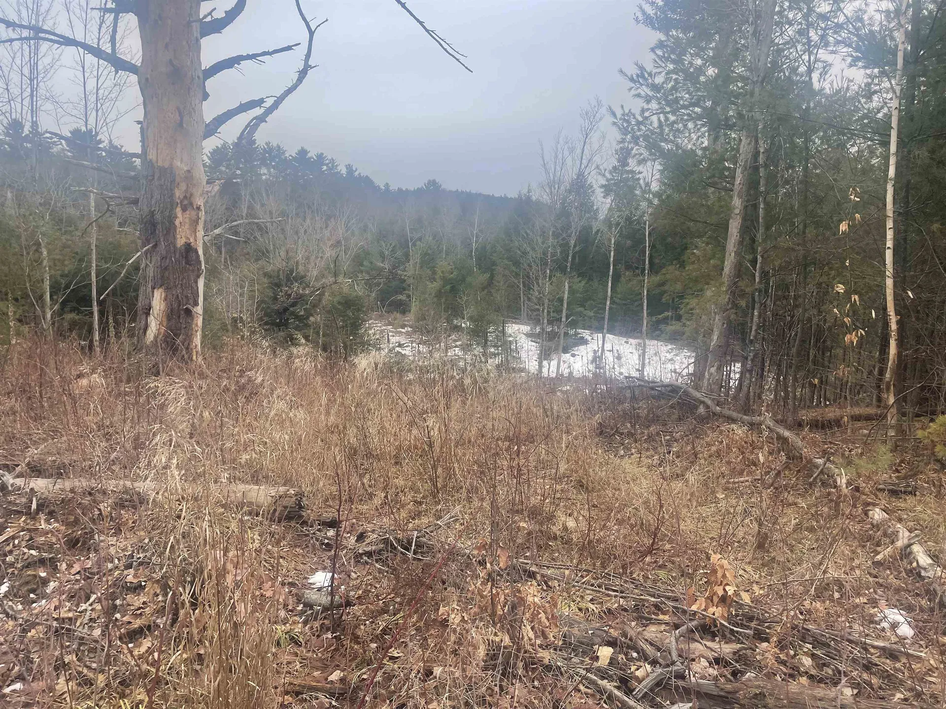 46 #3 Benton Road Haverhill NH 03774