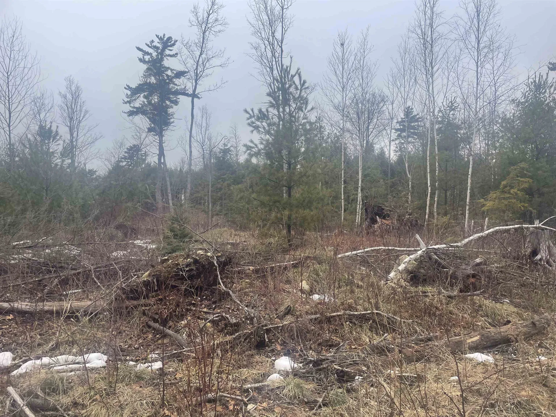 46 #3 Benton Road Haverhill NH 03774