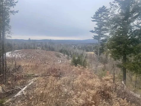 46 #3 Benton Road Haverhill NH 03774