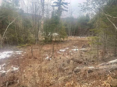 46 #3 Benton Road Haverhill NH 03774