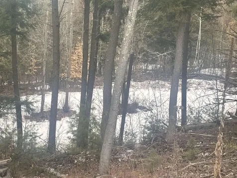 46 #3 Benton Road Haverhill NH 03774