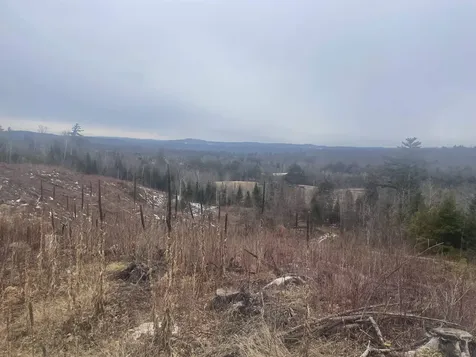 46 #3 Benton Road Haverhill NH 03774