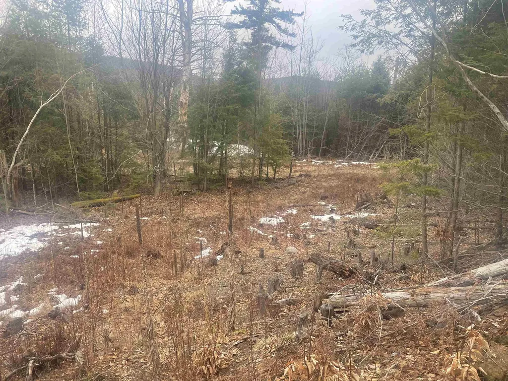 46 #2 Benton Road Haverhill NH 03774