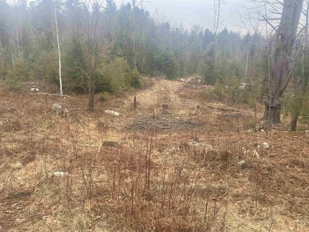 46 #2 Benton Road Haverhill NH 03774