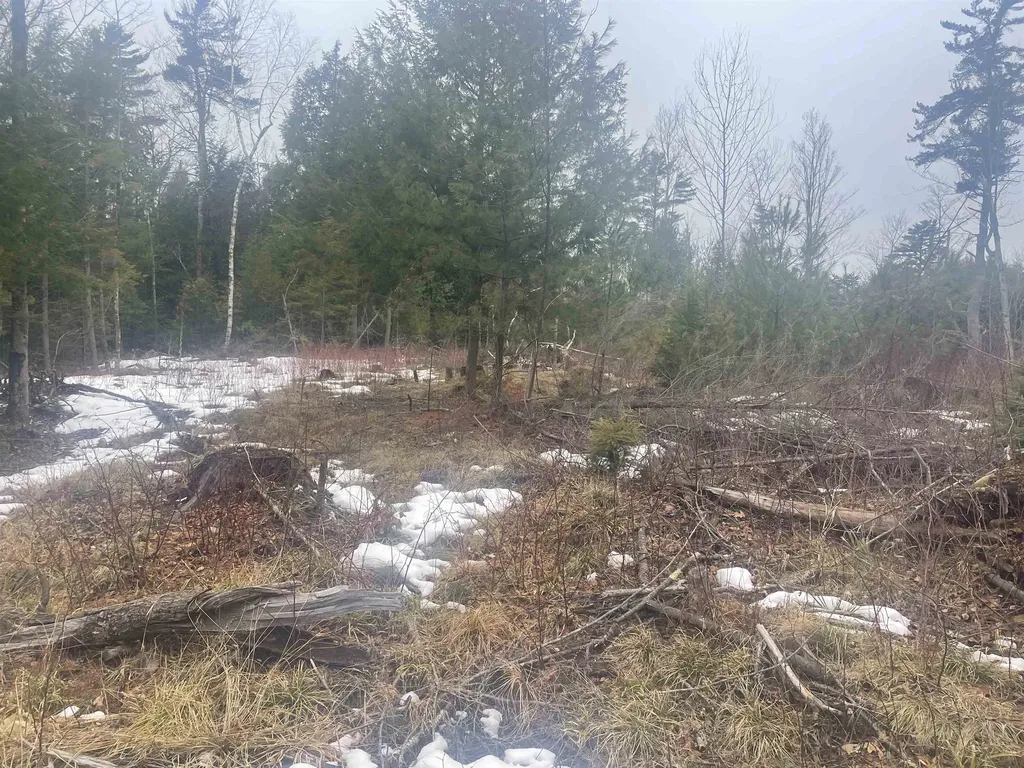 46 #2 Benton Road Haverhill NH 03774