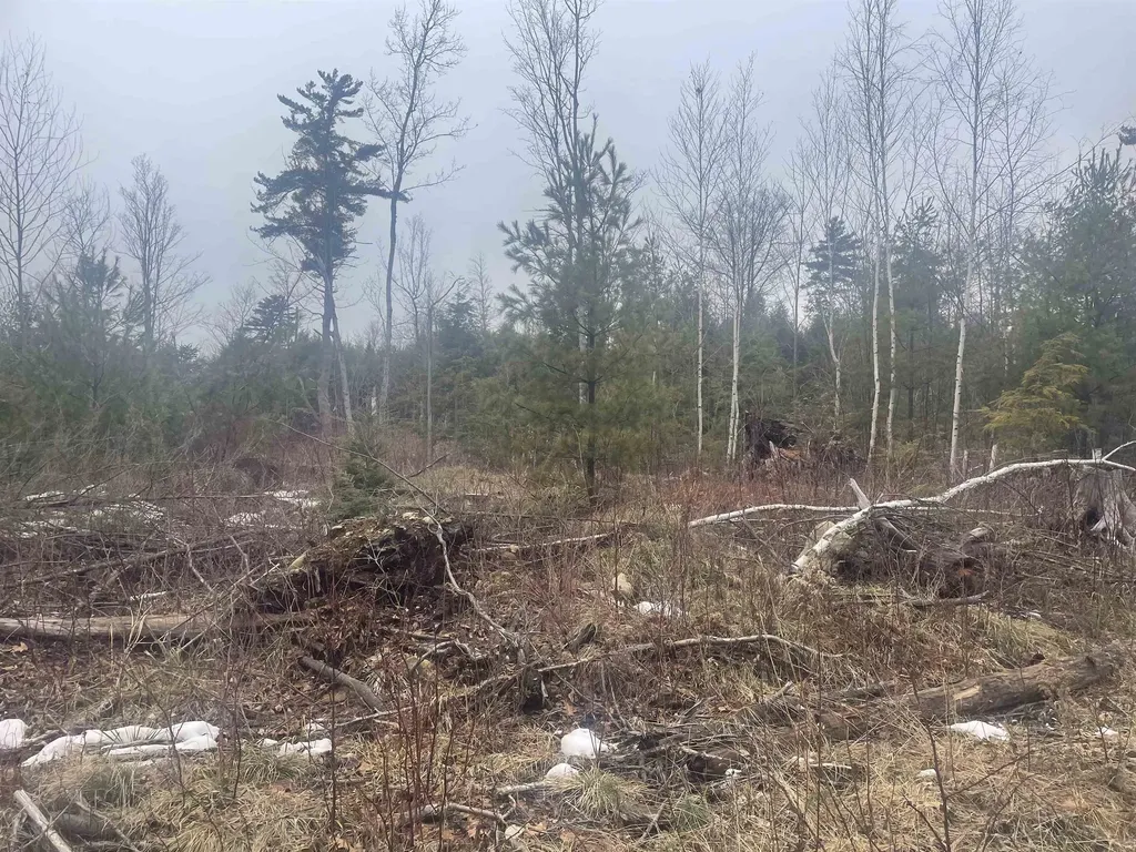 46 #2 Benton Road Haverhill NH 03774