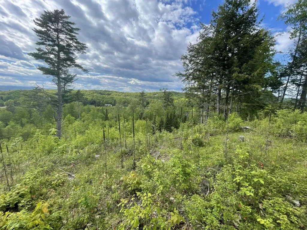 46 #2 Benton Road Haverhill NH 03774
