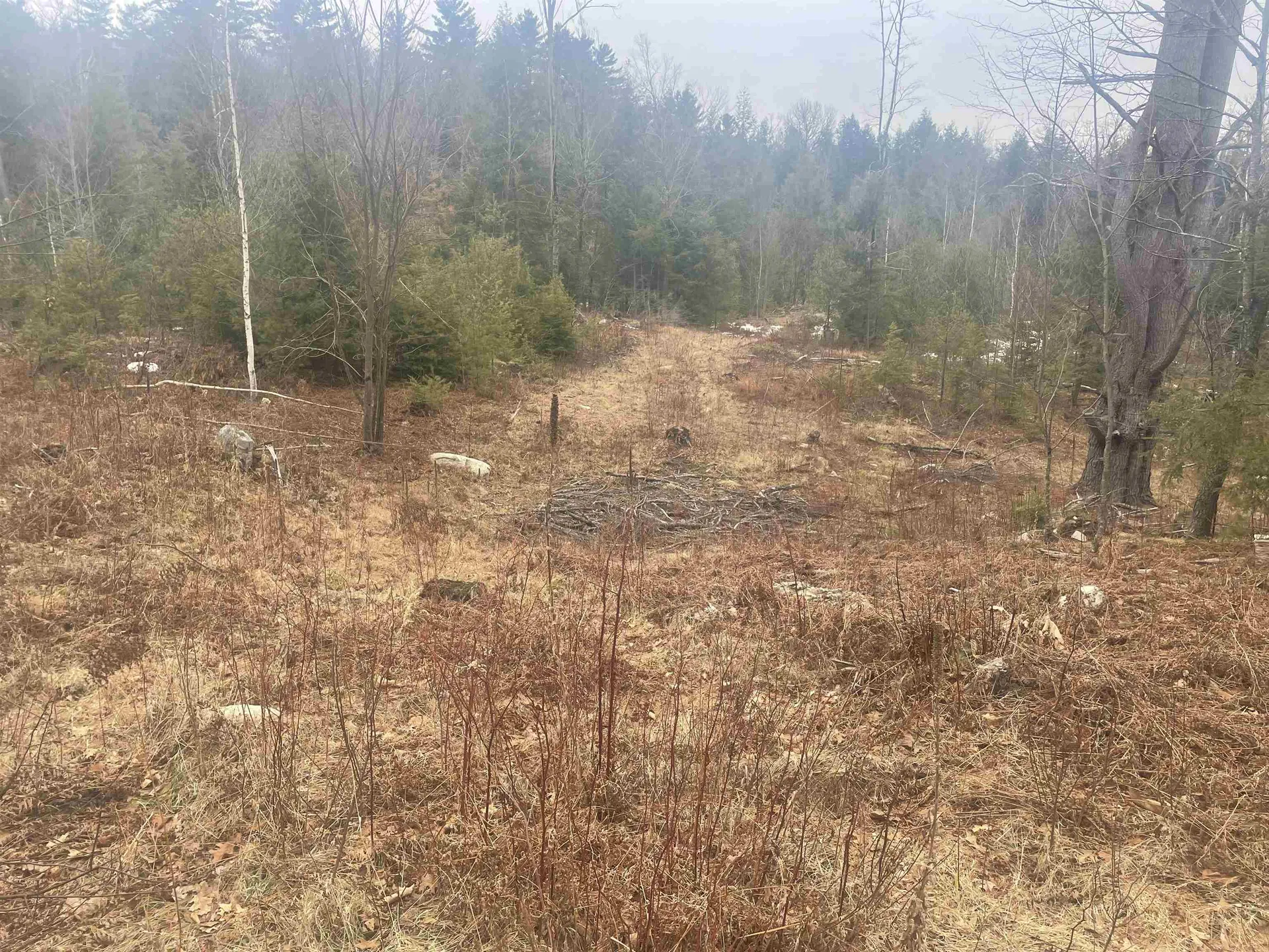 46 #2 Benton Road Haverhill NH 03774