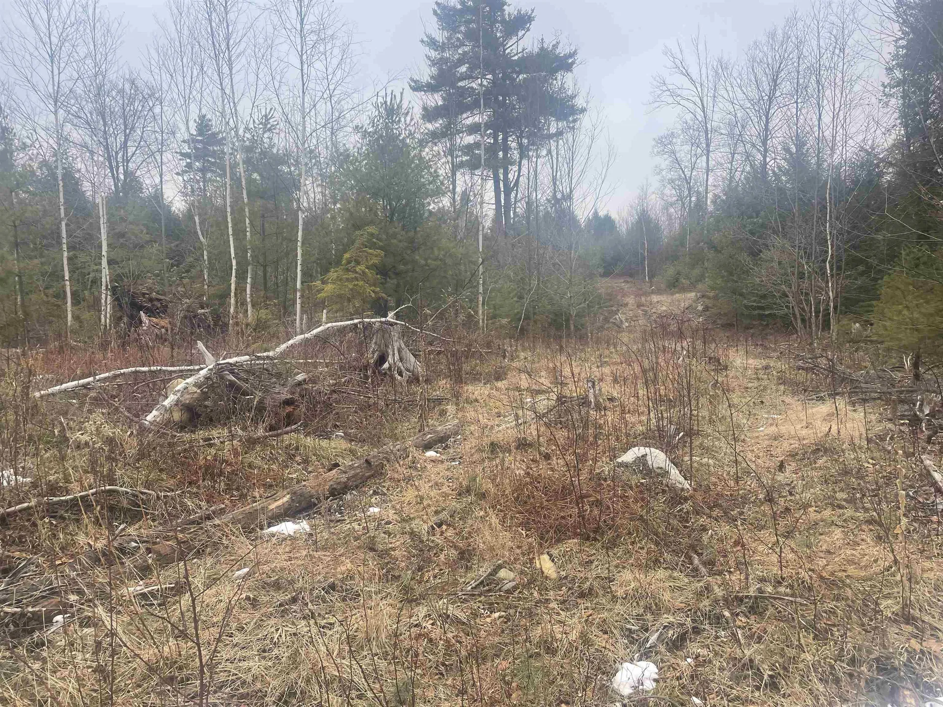 46 #2 Benton Road Haverhill NH 03774