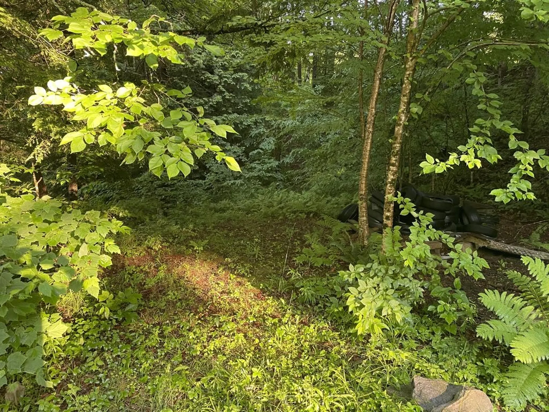 46 #2 Benton Road Haverhill NH 03774