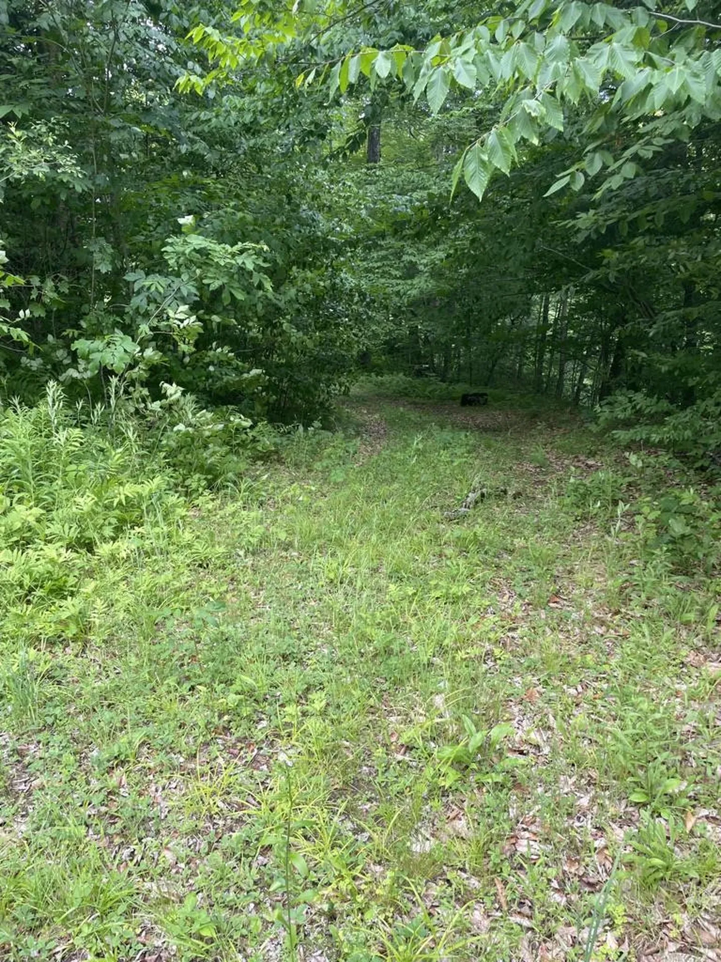 46 #2 Benton Road Haverhill NH 03774