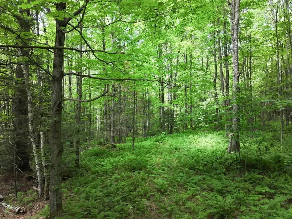 0 Rushford Valley Road Montgomery VT 05471