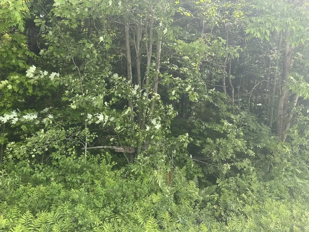 0 Rushford Valley Road Montgomery VT 05471