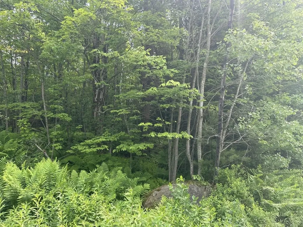 0 Rushford Valley Road Montgomery VT 05471