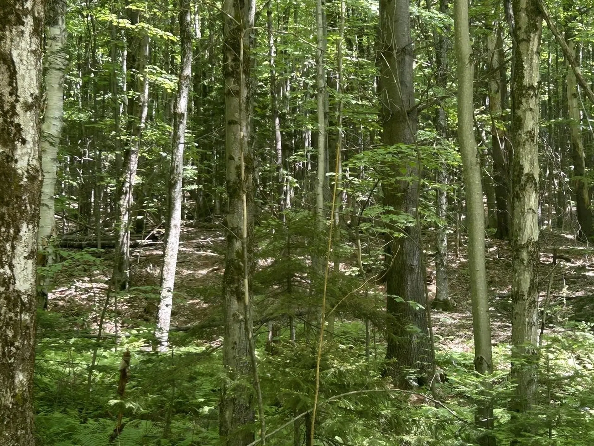 0 Rushford Valley Road Montgomery VT 05471