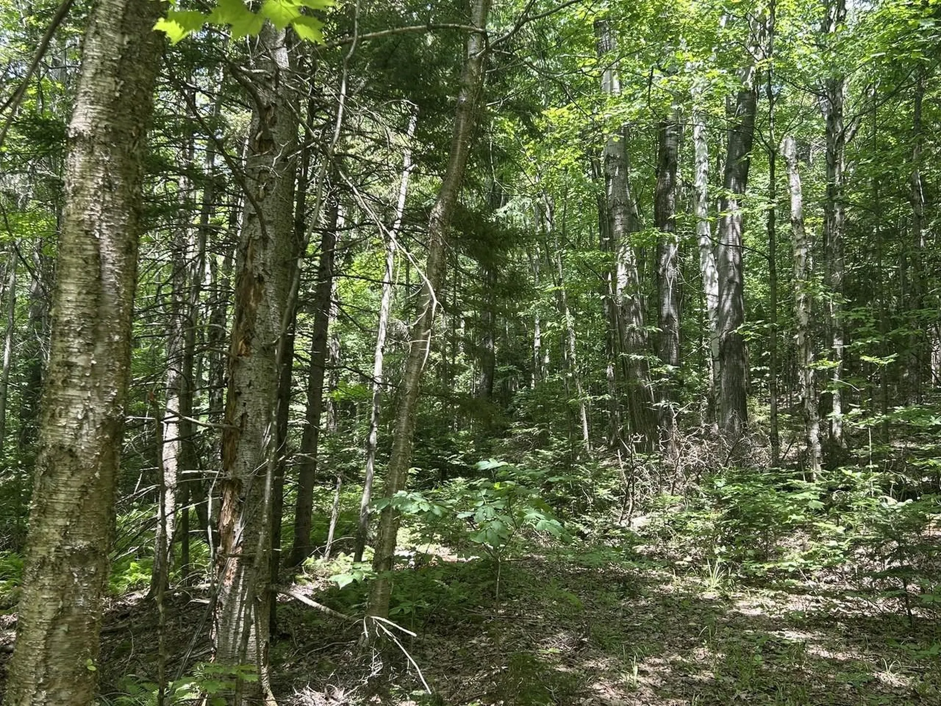 0 Rushford Valley Road Montgomery VT 05471