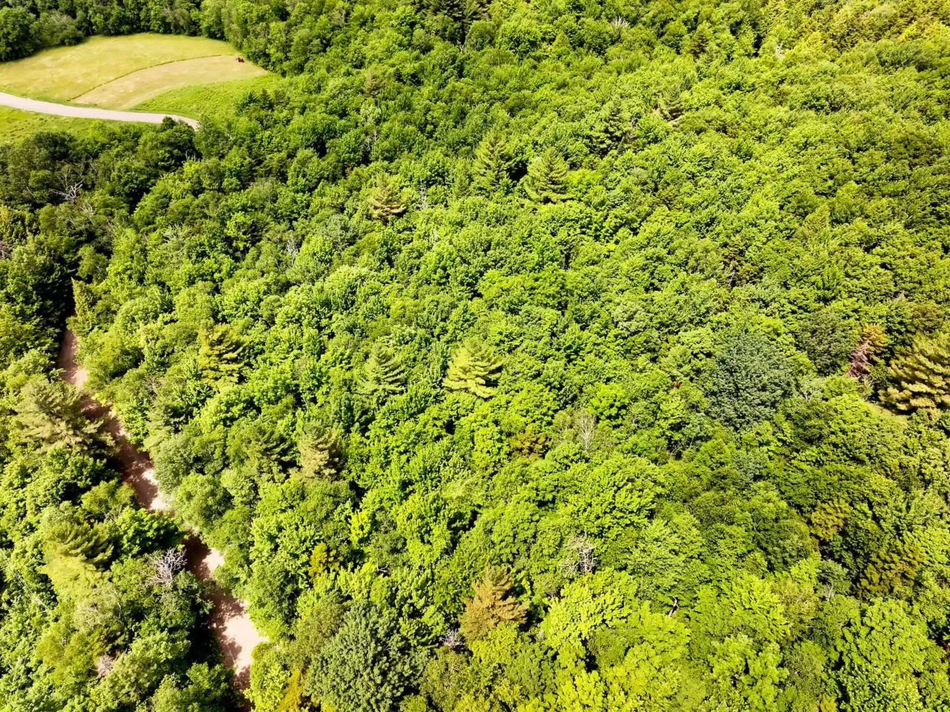 0 Rushford Valley Road Montgomery VT 05471