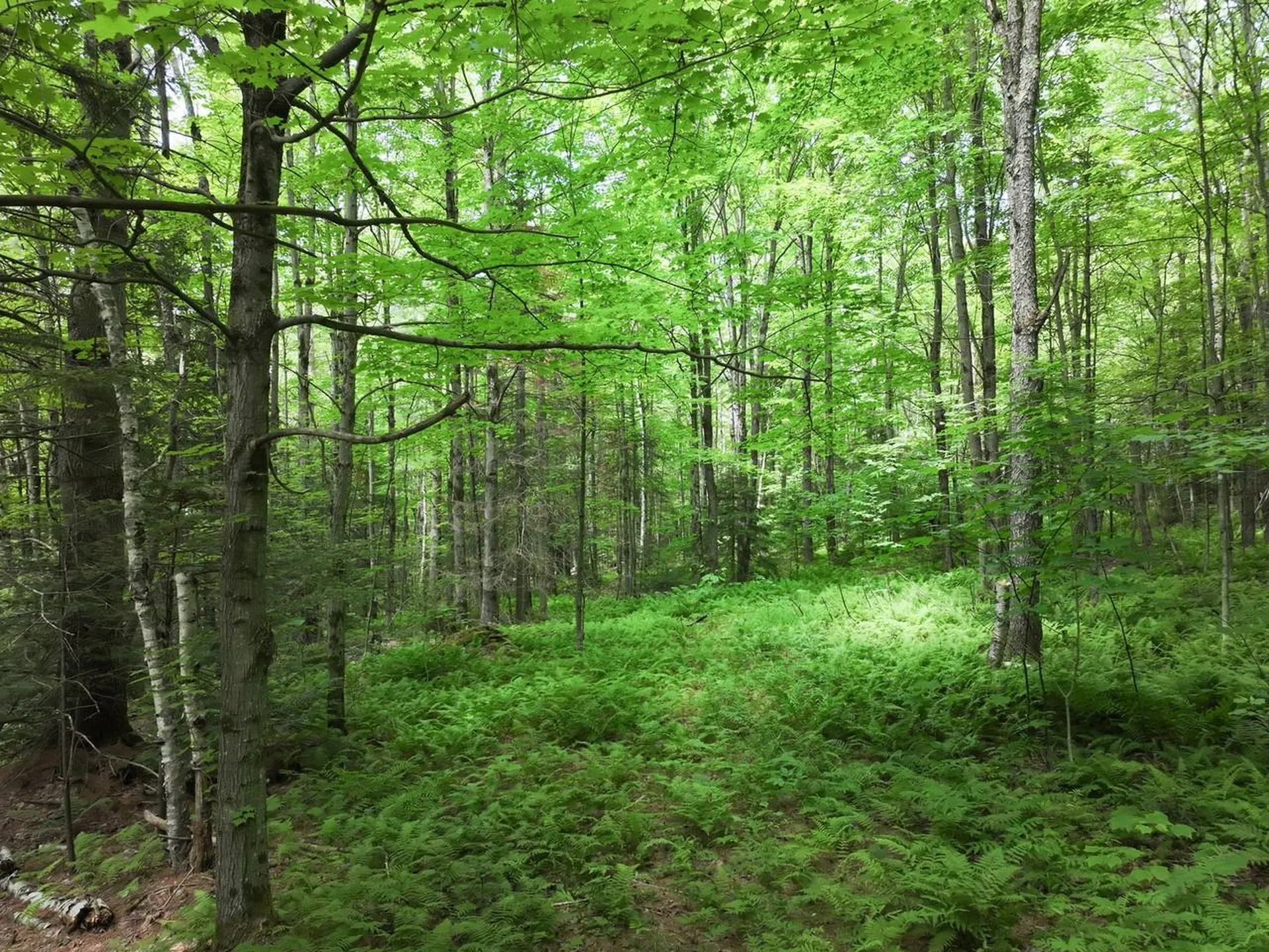 0 Rushford Valley Road Montgomery VT 05471