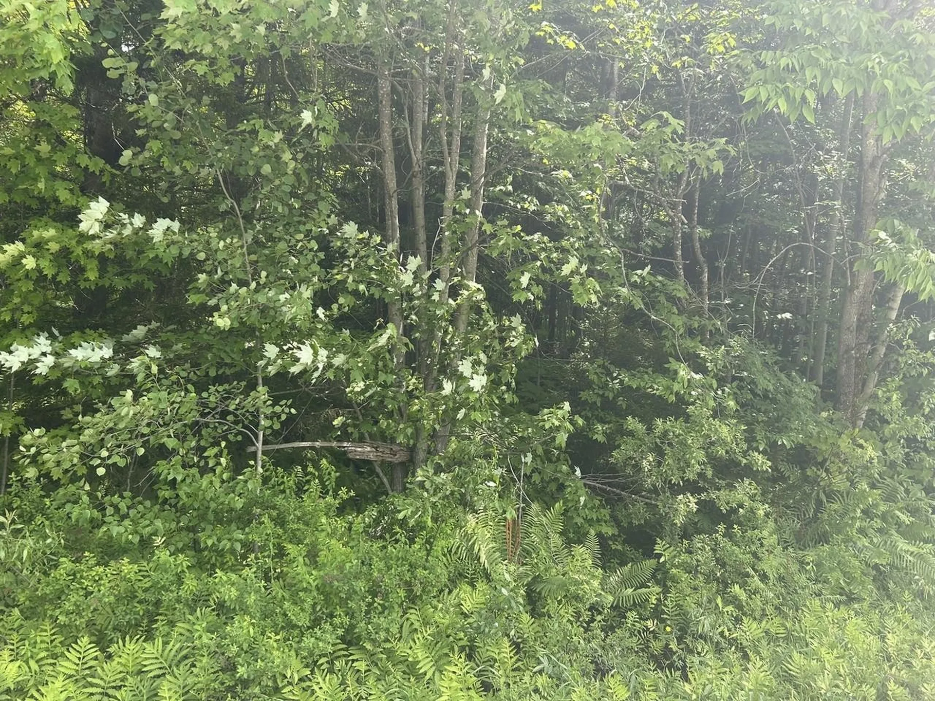 0 Rushford Valley Road Montgomery VT 05471