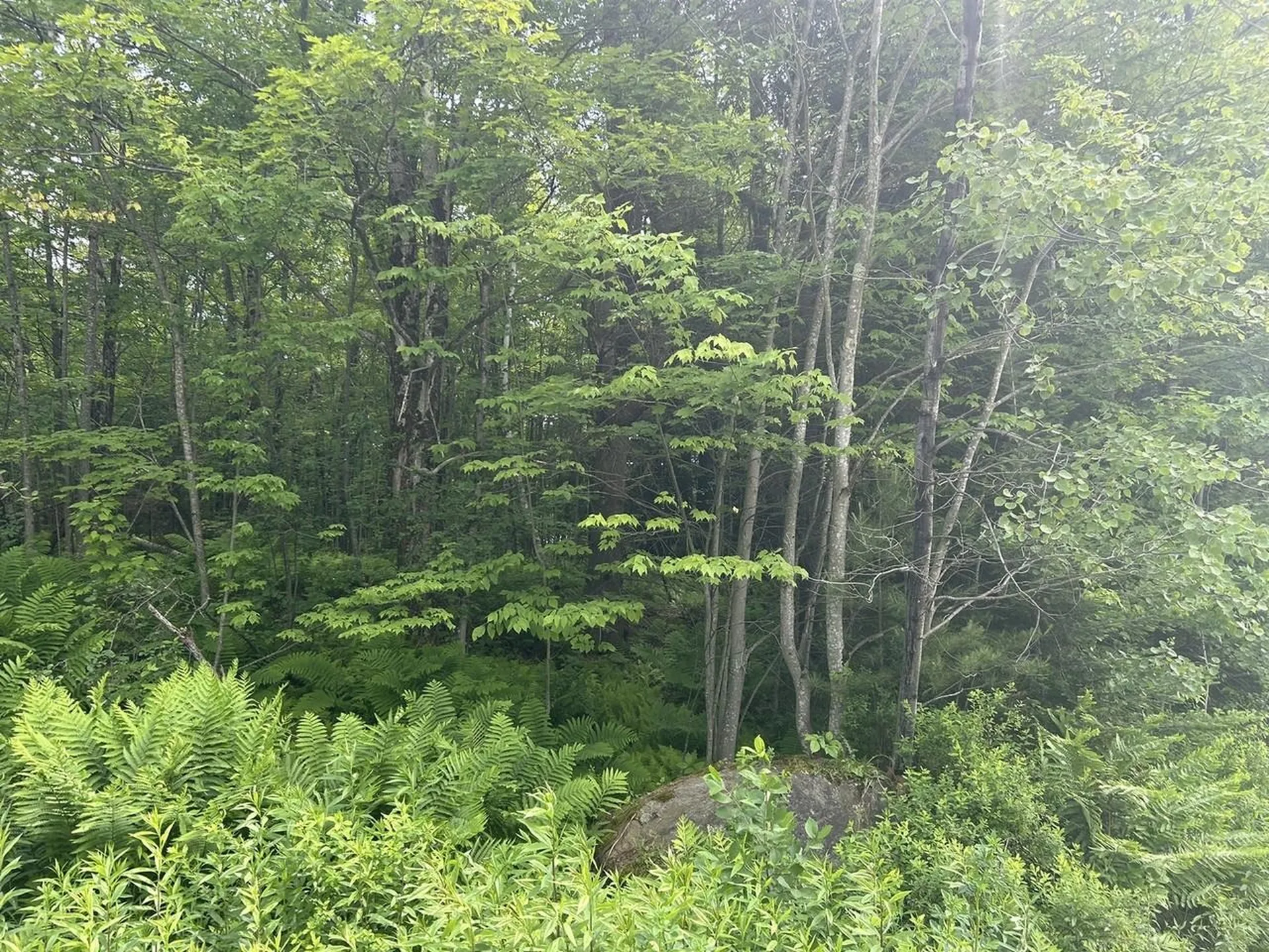 0 Rushford Valley Road Montgomery VT 05471