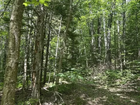 0 Rushford Valley Road Montgomery VT 05471