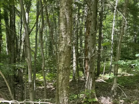 0 Rushford Valley Road Montgomery VT 05471