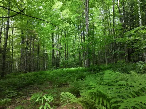 0 Rushford Valley Road Montgomery VT 05471