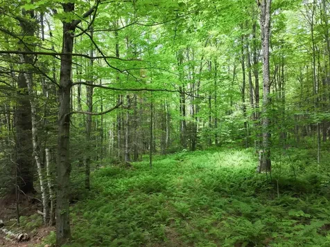 0 Rushford Valley Road Montgomery VT 05471