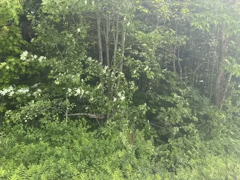 0 Rushford Valley Road Montgomery VT 05471