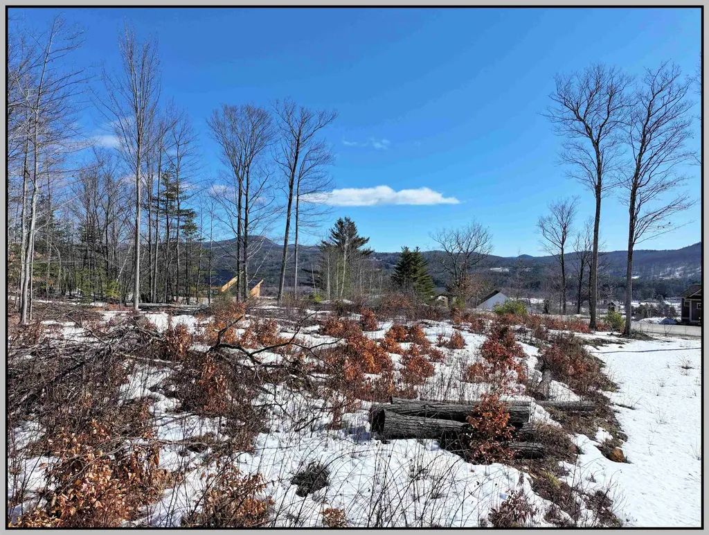 Lot 22 Ski Lift Lane Plymouth NH 03264