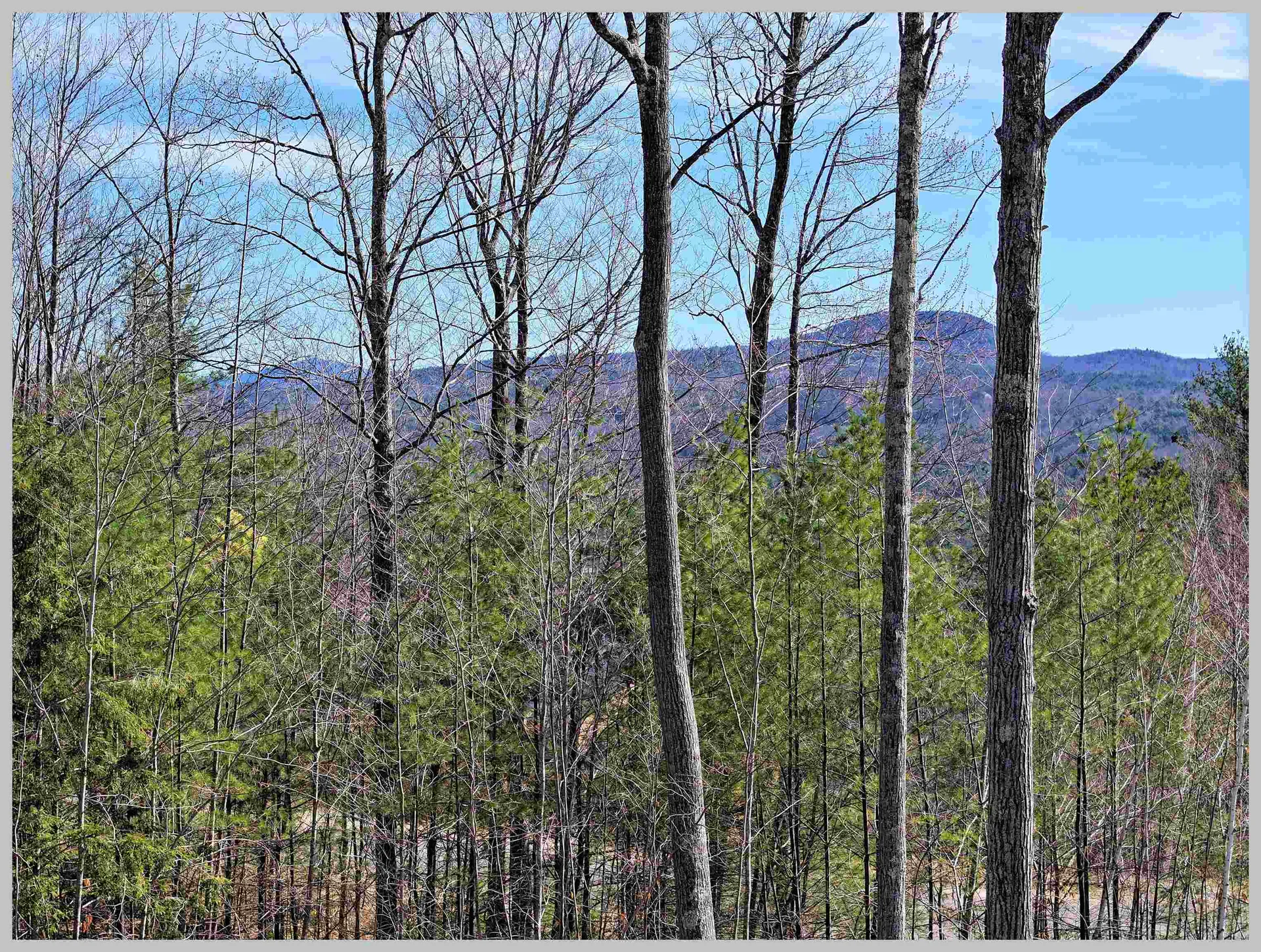 Lot 22 Ski Lift Lane Plymouth NH 03264