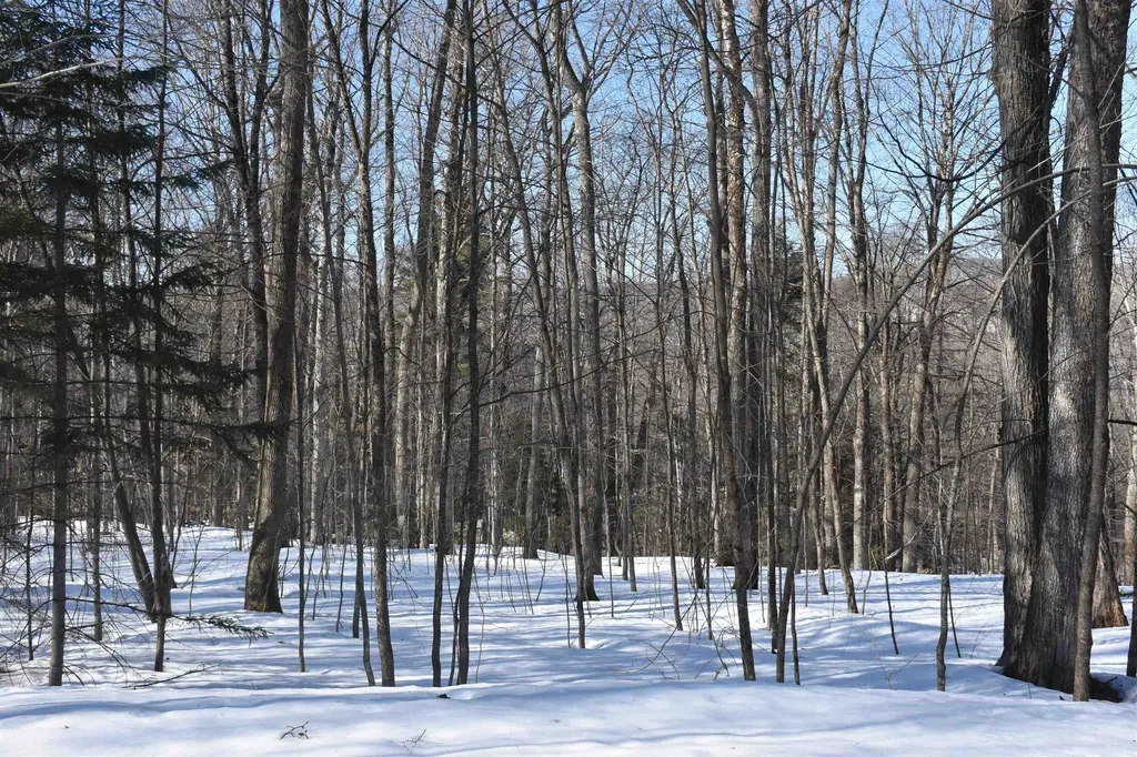 397 Winch Hill Extension Roxbury VT 05663