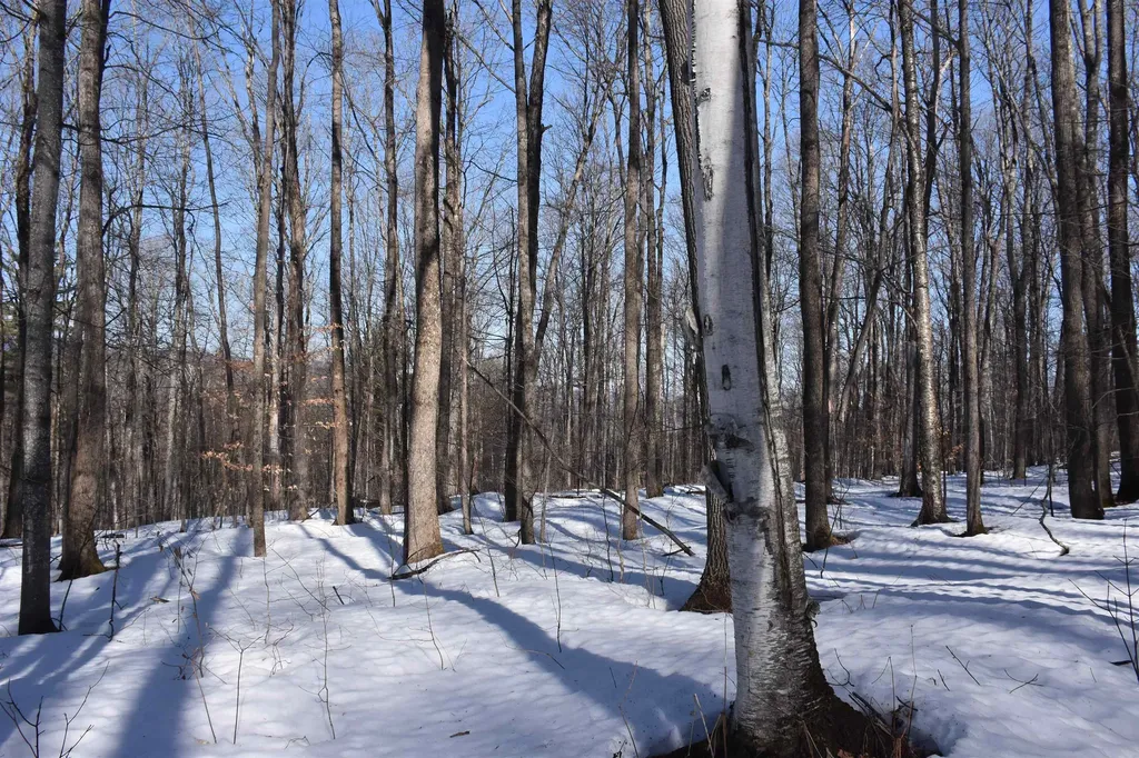 397 Winch Hill Extension Roxbury VT 05663