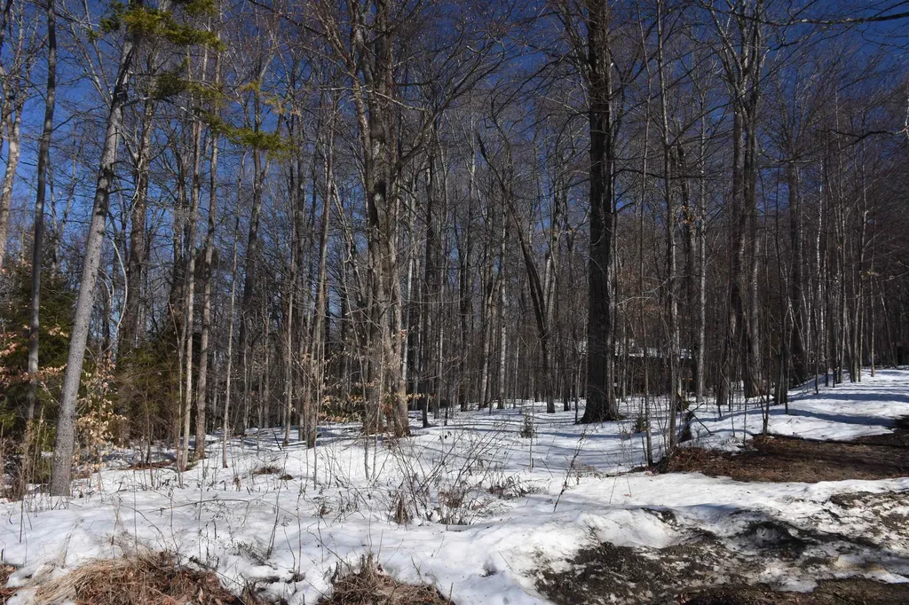 397 Winch Hill Extension Roxbury VT 05663