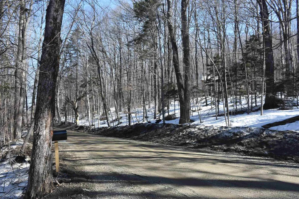 397 Winch Hill Extension Roxbury VT 05663