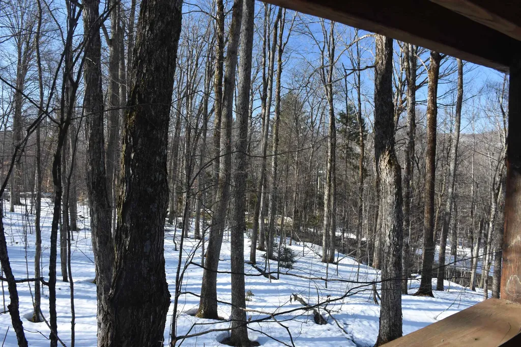 397 Winch Hill Extension Roxbury VT 05663