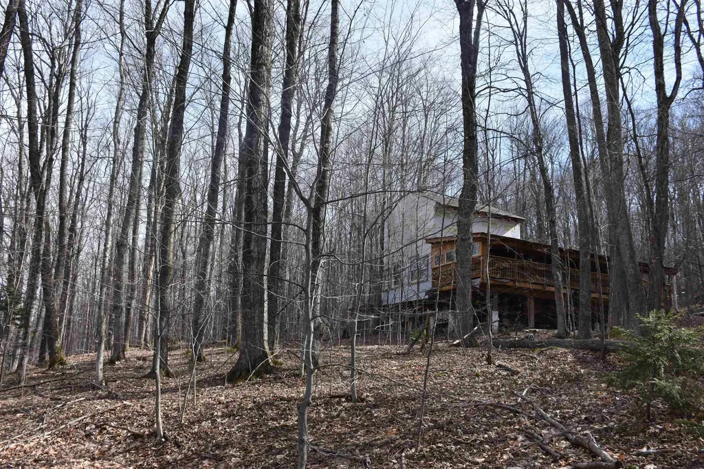 397 Winch Hill Extension Roxbury VT 05663