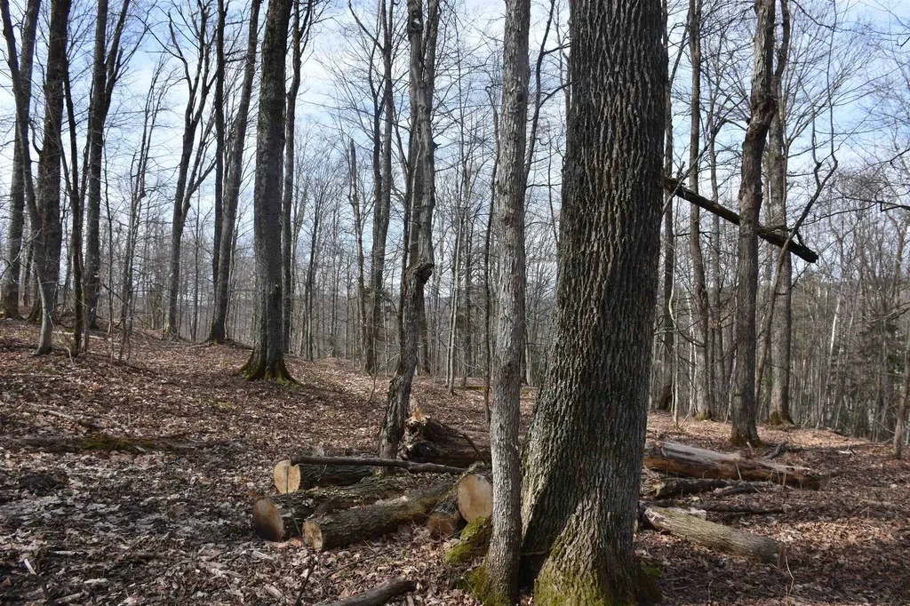 397 Winch Hill Extension Roxbury VT 05663