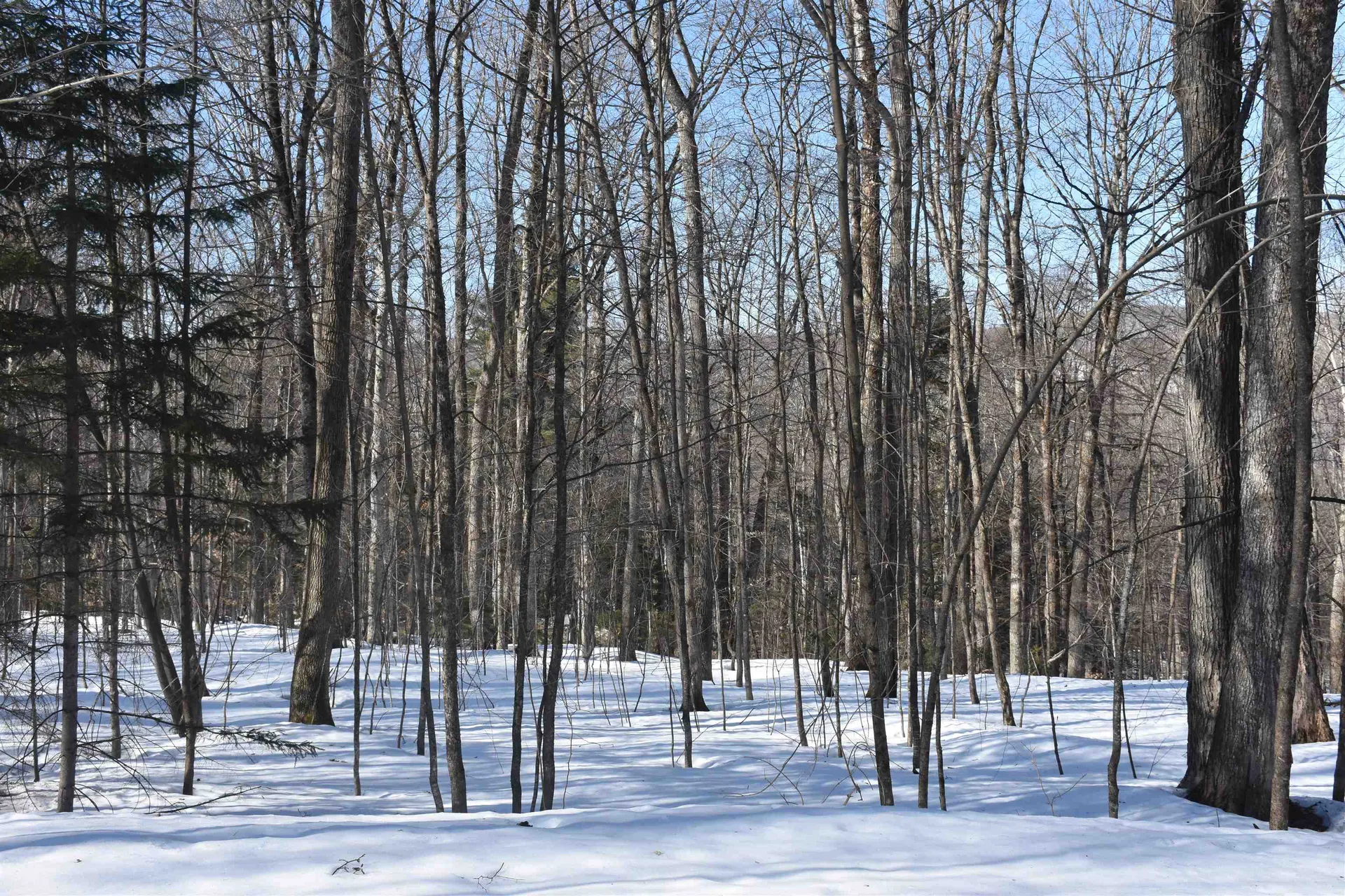 397 Winch Hill Extension Roxbury VT 05663