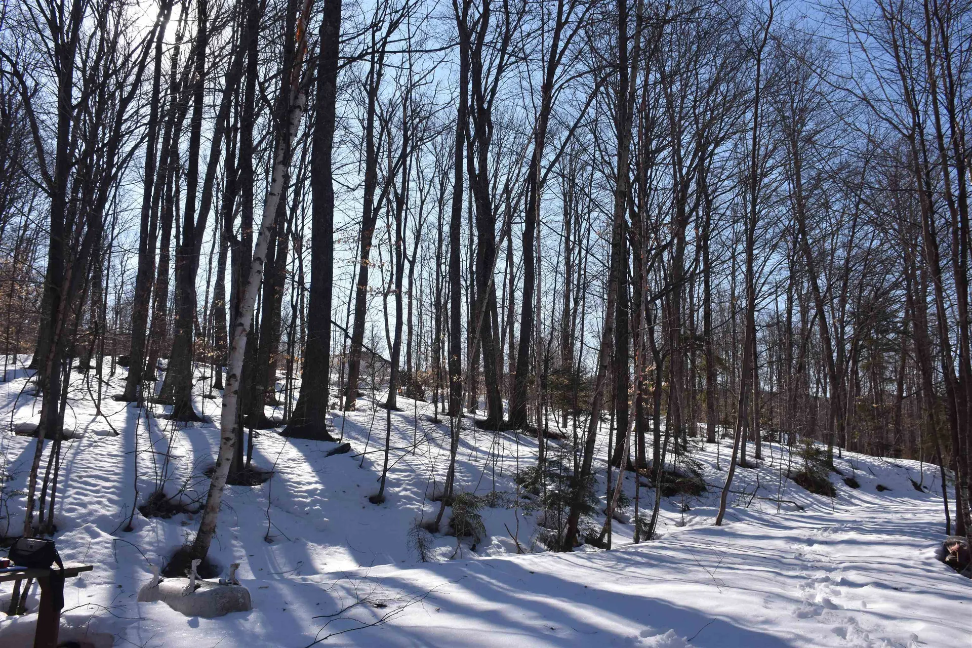 397 Winch Hill Extension Roxbury VT 05663