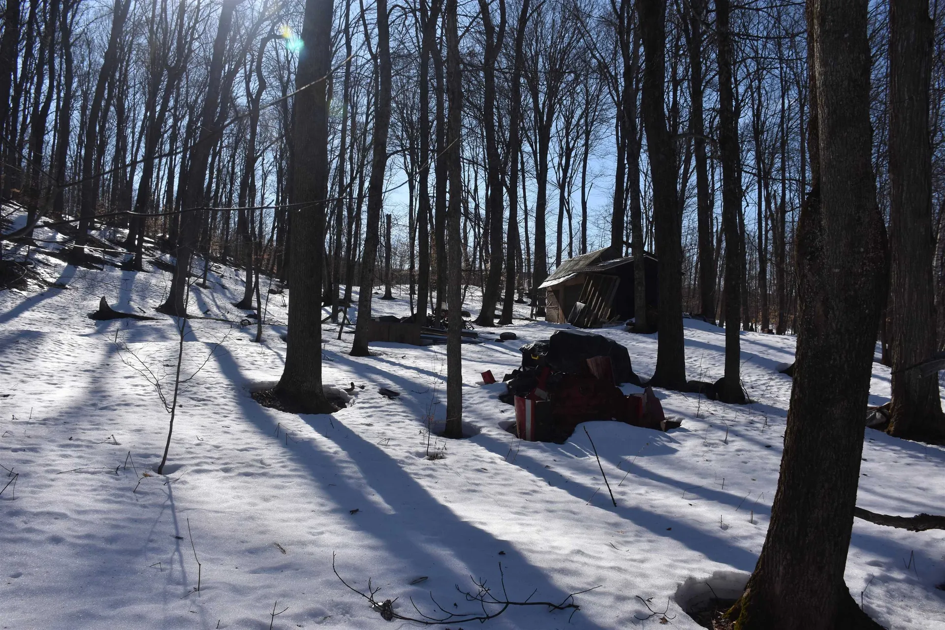 397 Winch Hill Extension Roxbury VT 05663