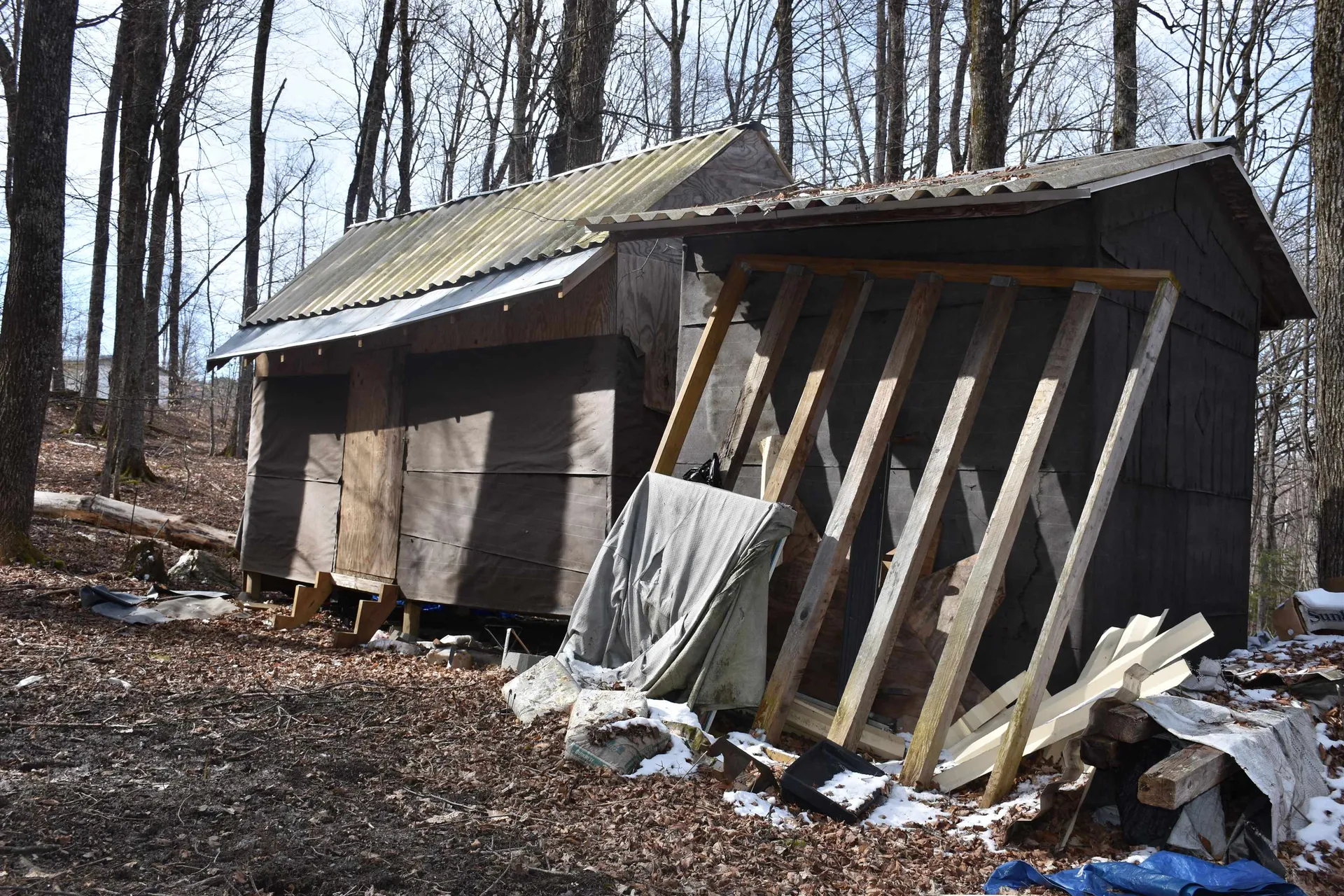 397 Winch Hill Extension Roxbury VT 05663