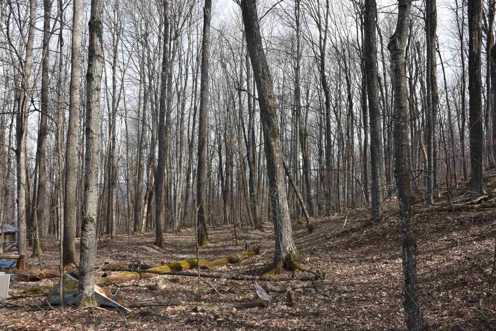 397 Winch Hill Extension Roxbury VT 05663