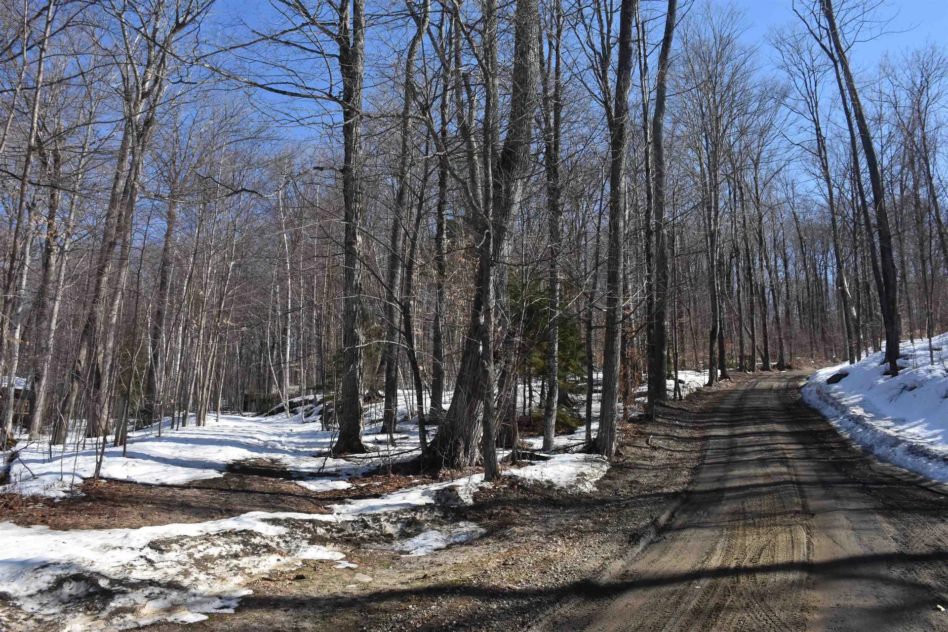 397 Winch Hill Extension Roxbury VT 05663