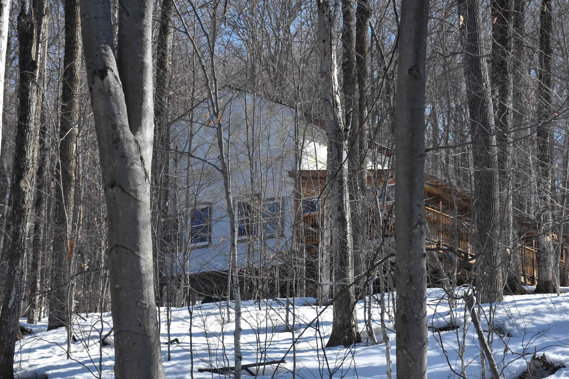 397 Winch Hill Extension Roxbury VT 05663