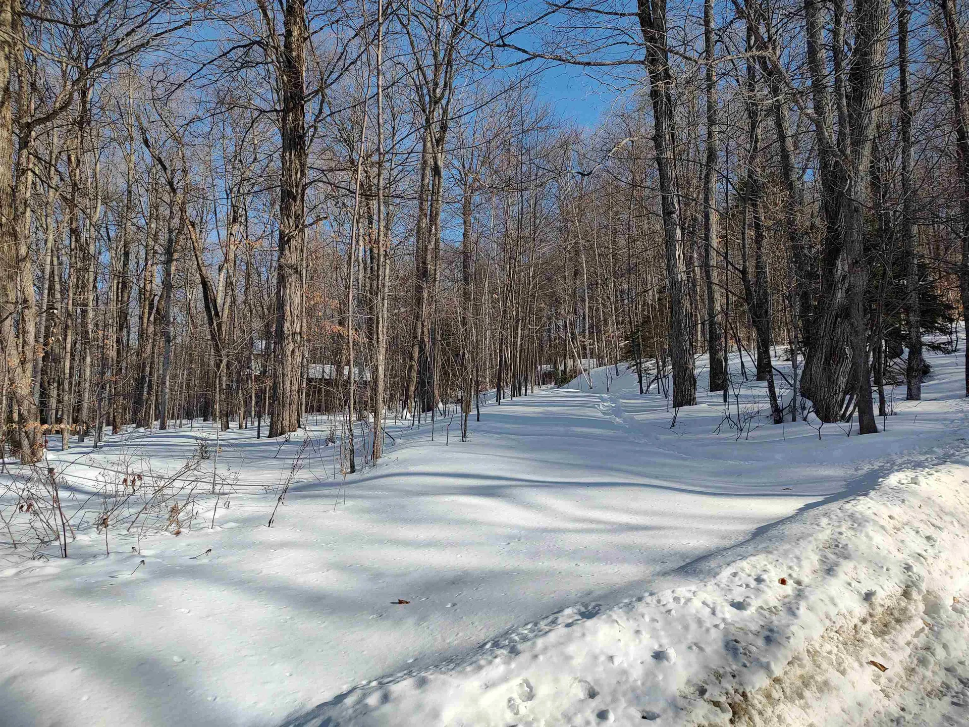 397 Winch Hill Extension Roxbury VT 05663