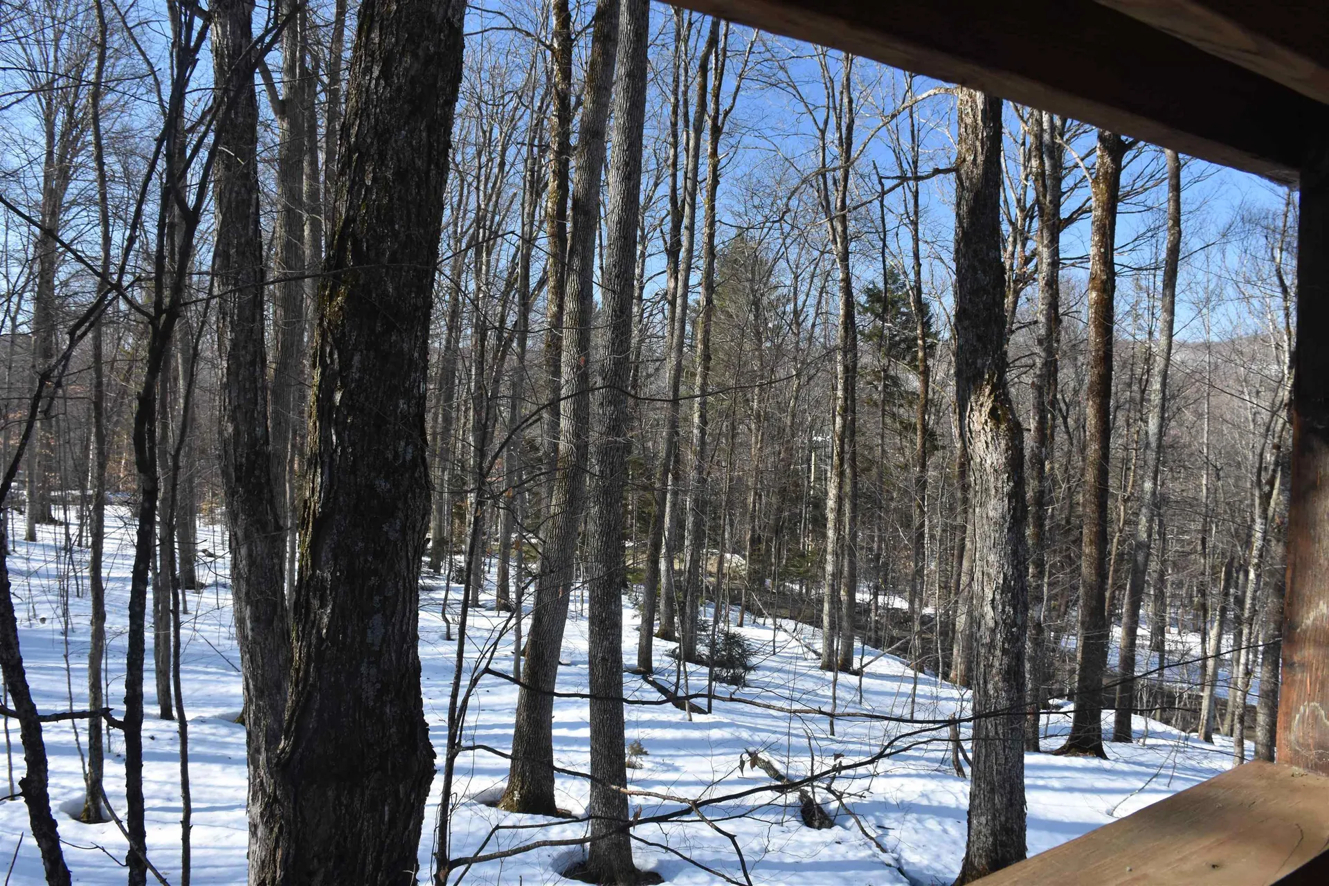 397 Winch Hill Extension Roxbury VT 05663