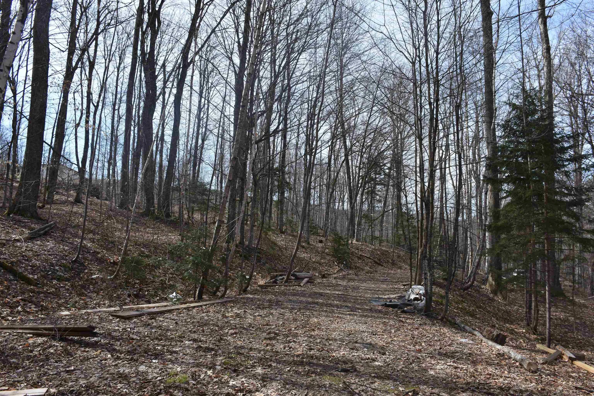 397 Winch Hill Extension Roxbury VT 05663